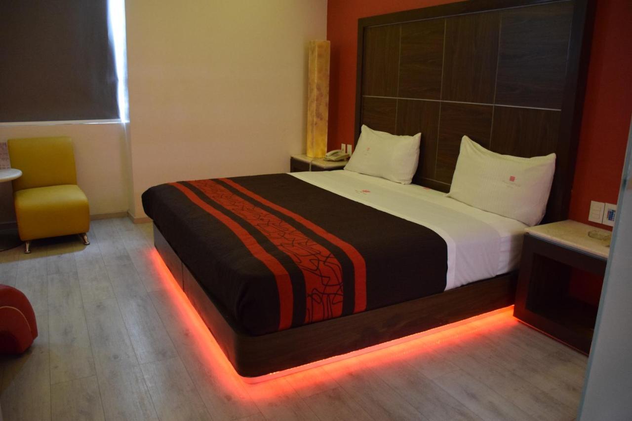 Plutarco Suites مدينة مكسيكو المظهر الخارجي الصورة