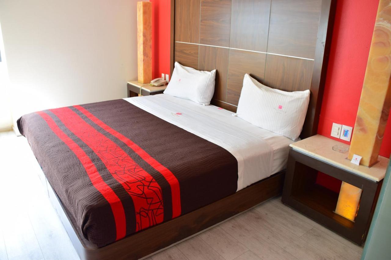 Plutarco Suites مدينة مكسيكو المظهر الخارجي الصورة